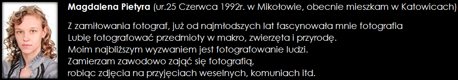 Opis: Opis: Opis: C:\Documents and Settings\SysOp\Moje dokumenty\1\Strona\profil_pliki\image002.png